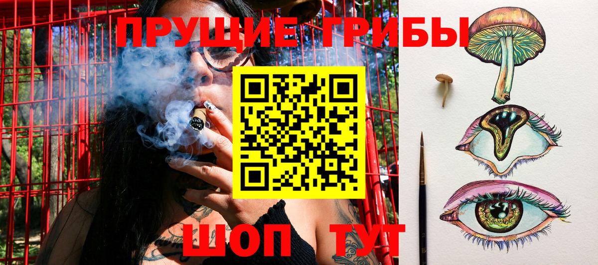 Галлюциногенные грибы Cubensis Печора