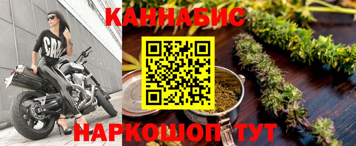 Псилоцибиновые грибы Печора
